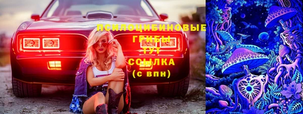 прущие грибы Лиски