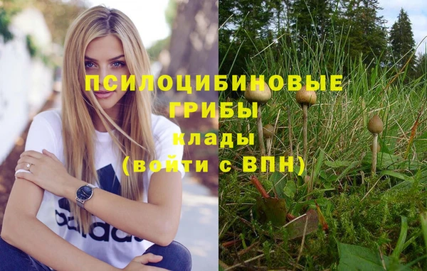 шишки Лихославль