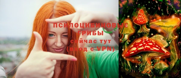 спиды Липки