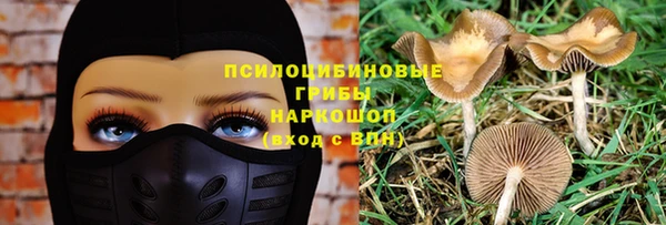 прущие грибы Лиски