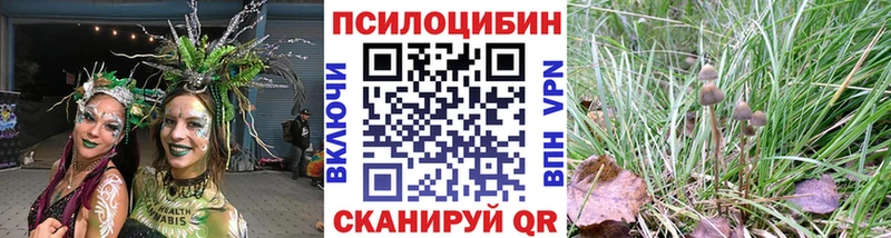 Галлюциногенные грибы MAGIC MUSHROOMS  Купить  Усть-Катав 